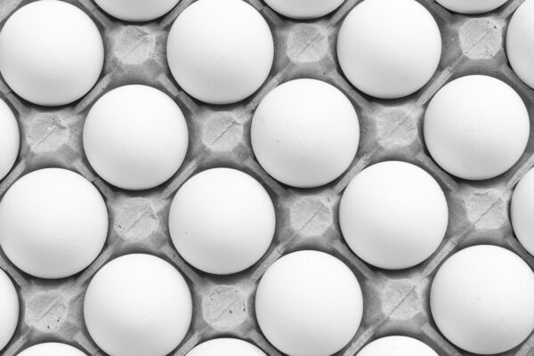 Eggs (Tray of 30) Eggs (Tray of 30)